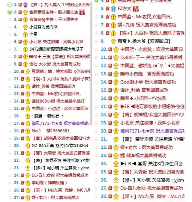 刘大美回归